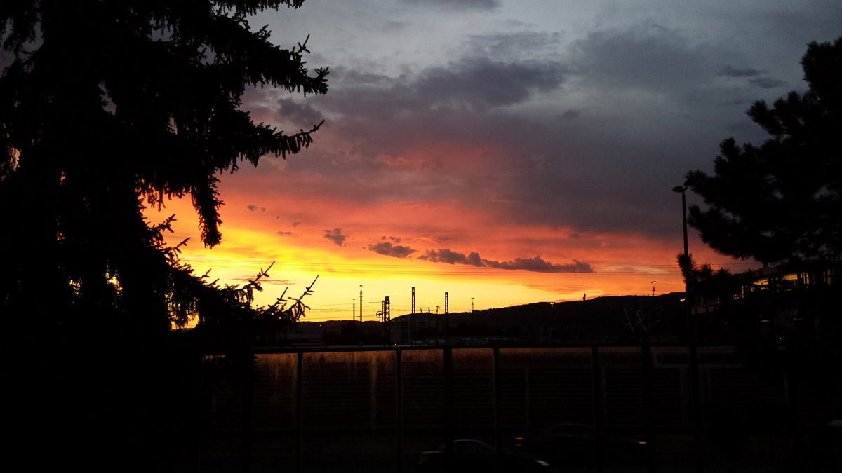 Gartenpflege Gartenliebe Basel Sonnenuntergang
